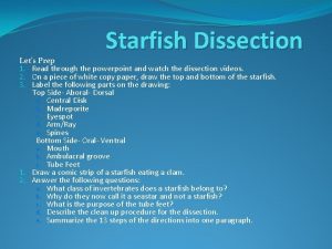 Starfish Dissection Lets Prep 1 Read through the