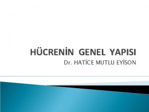 HCRENN GENEL YAPISI Dr HATCE MUTLU EYSON Hcrenin