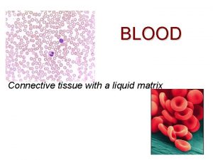 BLOOD Connective tissue with a liquid matrix Blood