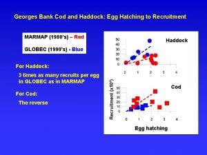 Georges Bank Cod and Haddock Egg Hatching to