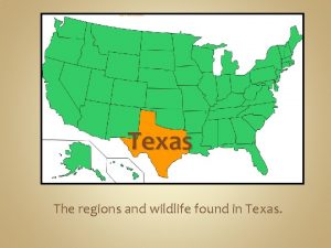 Texas The regions and wildlife found in Texas