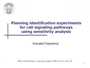 Planning identification experiments for cell signaling pathways using