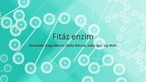 Fitz enzim Ksztette Nagy Martin Rsky Botond Sallai