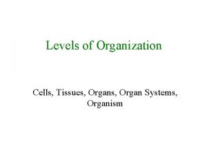 Levels of Organization Cells Tissues Organ Systems Organism