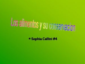 Sophia Cellini 4 Alimentos y sus nutrientes Nuestro