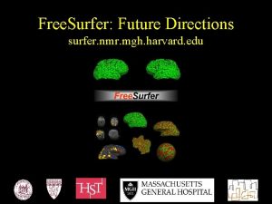 Free Surfer Future Directions surfer nmr mgh harvard