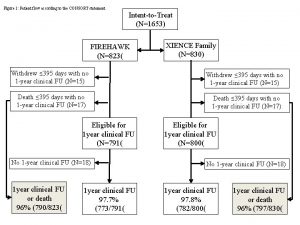 Figure 1 Patient flow according to the CONSORT