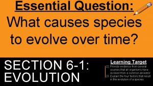 Essential Question What causes species to evolve over