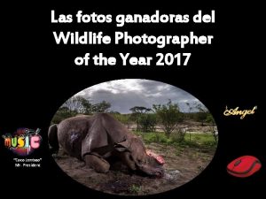Las fotos ganadoras del Wildlife Photographer of the