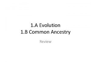 1 A Evolution 1 B Common Ancestry Review