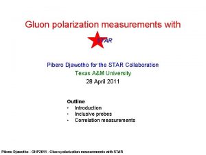 Gluon polarization measurements with STAR Pibero Djawotho for