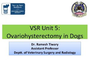 VSR Unit 5 Ovariohysterectomy in Dogs Dr Ramesh