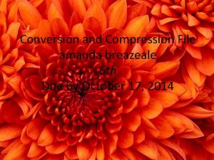 Conversion and Compression File amanda breazeale 6 th