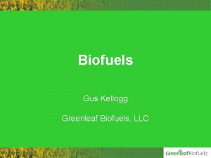 Biofuels Gus Kellogg Greenleaf Biofuels LLC Company History