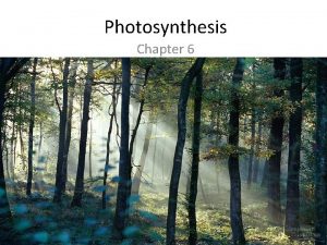 Photosynthesis Chapter 6 6 1 Vocabulary Photosynthesis Lightdependent