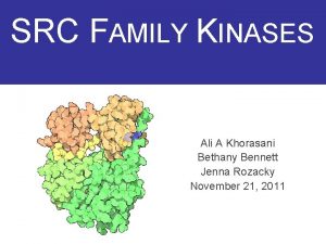 SRC FAMILY KINASES Ali A Khorasani Bethany Bennett