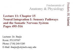 Anatomy Physiology Lecture 11 Chapter 15 Neural Integration