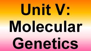 Unit V Molecular Genetics Part III Transcriptio n