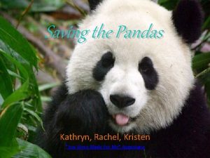 Saving the Pandas Kathryn Rachel Kristen You Were