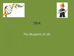 DNA The Blueprint of Life What is DNA