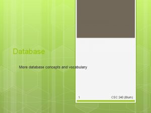 Database More database concepts and vocabulary 1 CSC