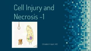 Cell Injury and Necrosis 1 Ghadeer Hayel MD