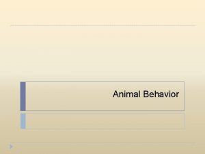 Animal Behavior Animal Behaviors Sexual Eliminative Maternal ShelterSeeking