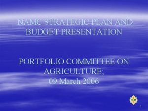 NAMC STRATEGIC PLAN AND BUDGET PRESENTATION PORTFOLIO COMMITTEE