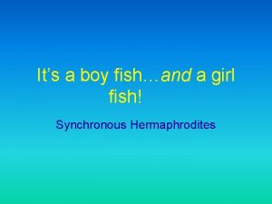Its a boy fishand a girl fish Synchronous