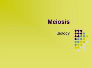 Meiosis Biology Human Chromosomes l Every normal human