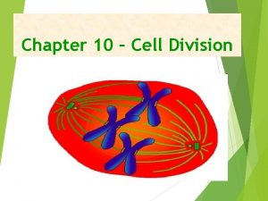 Chapter 10 Cell Division Limits to Cell Growth
