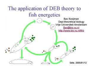 The application of DEB theory to fish energetics