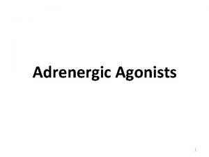 Adrenergic Agonists 1 THE ADRENERGIC NEURON Adrenergic neurons