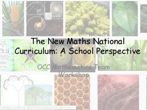 The New Maths National Curriculum A School Perspective