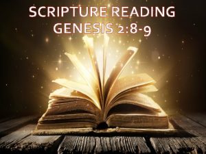 SCRIPTURE READING GENESIS 2 8 9 GENESIS 2