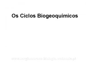 Os Ciclos Biogeoqumicos www sergiomoraesbiologia webnode pt CICLOS