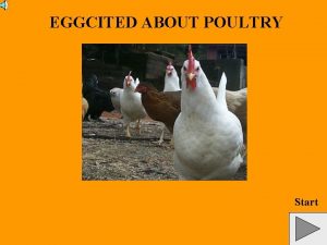 EGGCITED ABOUT POULTRY Start CONTENTS Instructions Click on