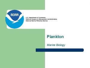 Plankton Marine Biology What exactly are plankton 1