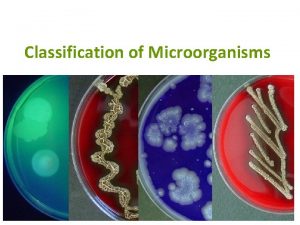 Classification of Microorganisms Taxonomy and Phylogeny Taxonmoy science
