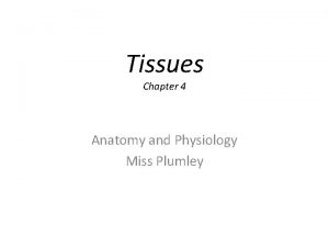 Tissues Chapter 4 Anatomy and Physiology Miss Plumley