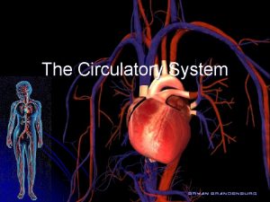 The Circulatory System Functions of the Circulatory System