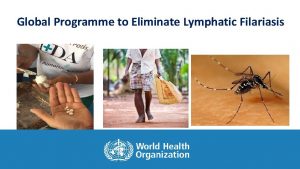 Global Programme to Eliminate Lymphatic Filariasis Global commitment