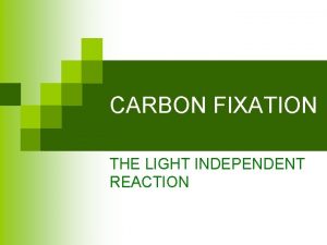 CARBON FIXATION THE LIGHT INDEPENDENT REACTION THE LIGHT