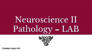 Neuroscience II Pathology LAB Ghadeer Hayel MD Neurons