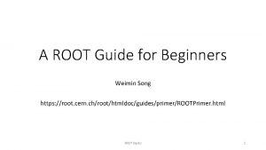 A ROOT Guide for Beginners Weimin Song https