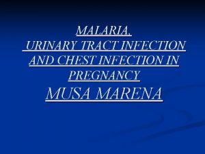 MALARIA URINARY TRACT INFECTION AND CHEST INFECTION IN