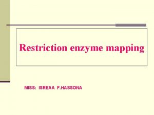 Restriction enzyme mapping MISS ISREAA F HASSONA Experiment