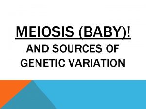 MEIOSIS BABY AND SOURCES OF GENETIC VARIATION MEIOSIS