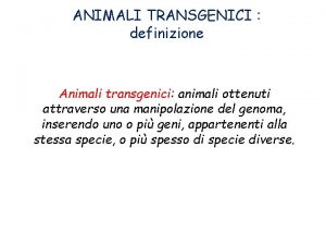 ANIMALI TRANSGENICI definizione Animali transgenici animali ottenuti attraverso