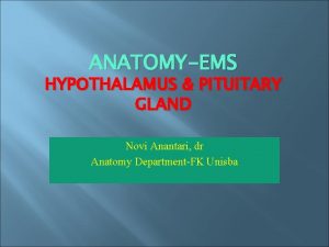 ANATOMYEMS HYPOTHALAMUS PITUITARY GLAND Novi Anantari dr Anatomy